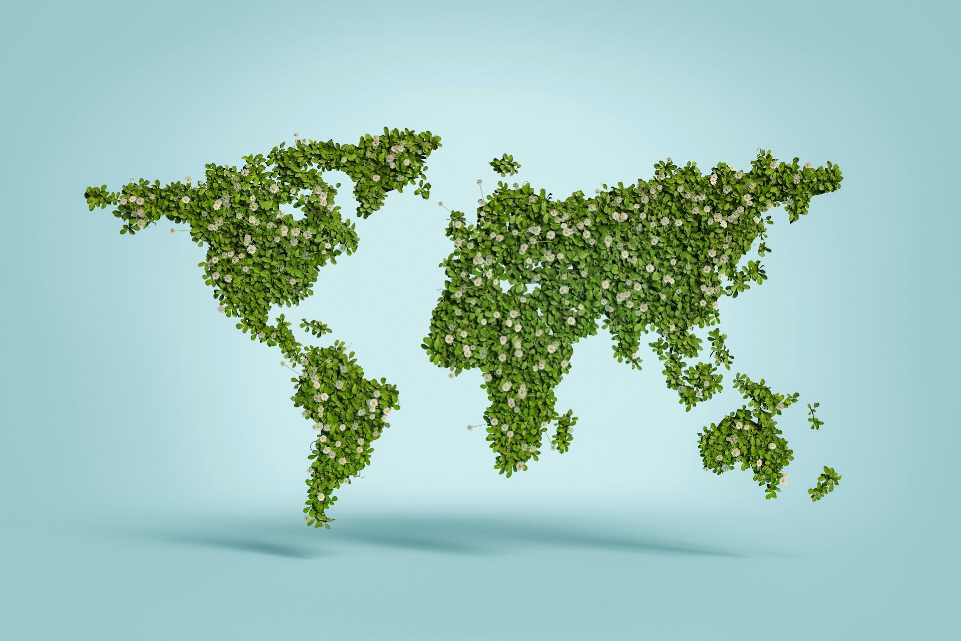 global conservation