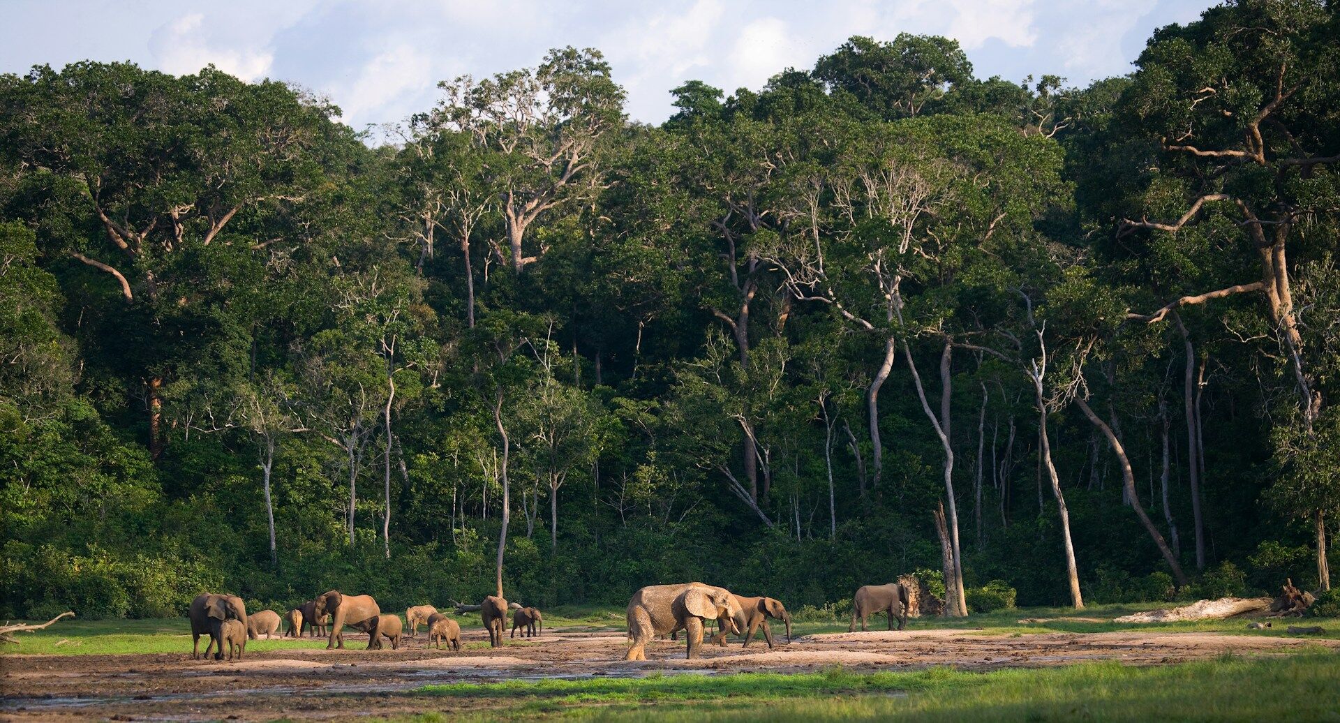 global environmental