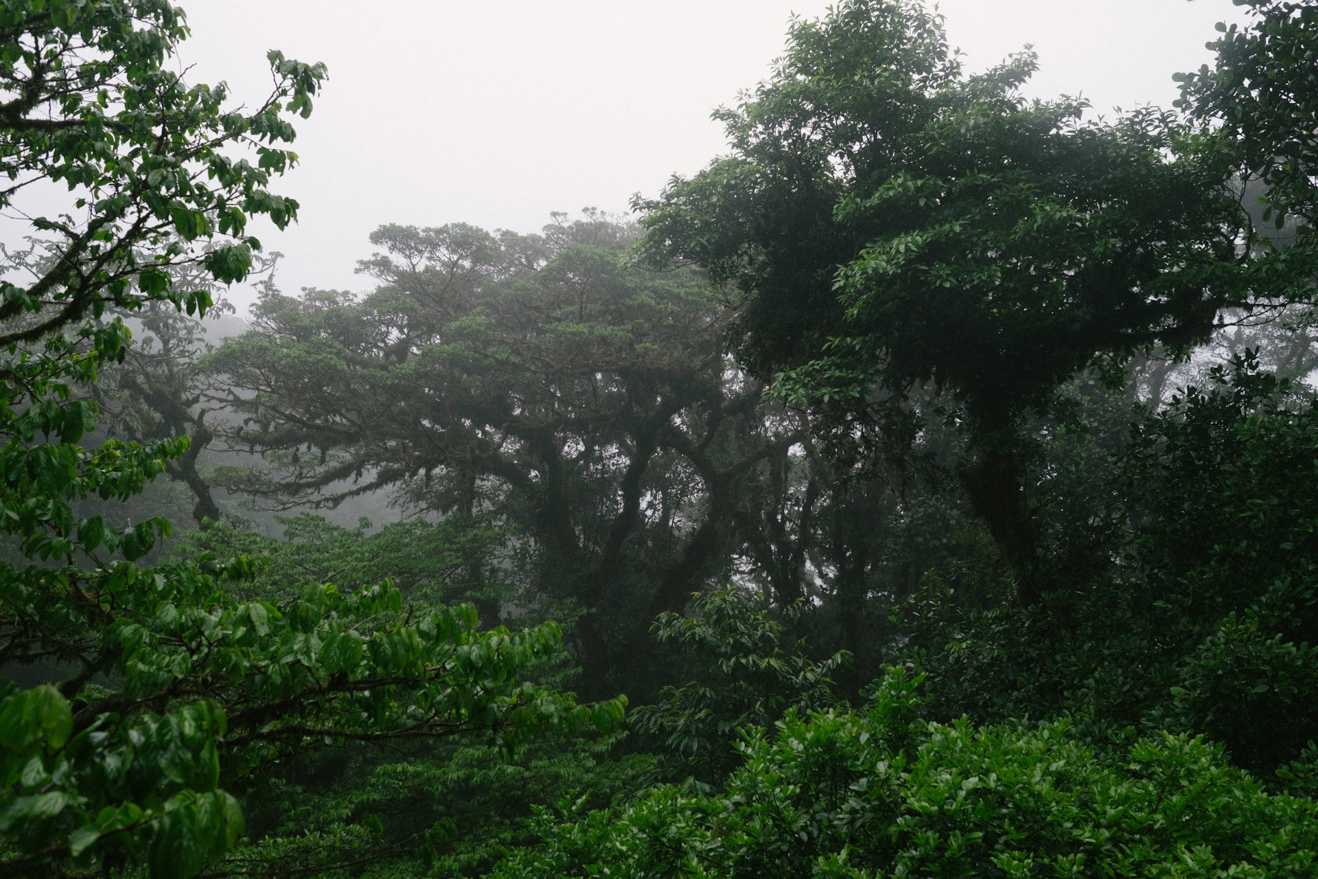 Environment